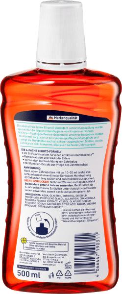 Actual product image dm Dontodent Mouthwash Junior Berry Flavour from 6 years old (500 ml, Mouthwash)