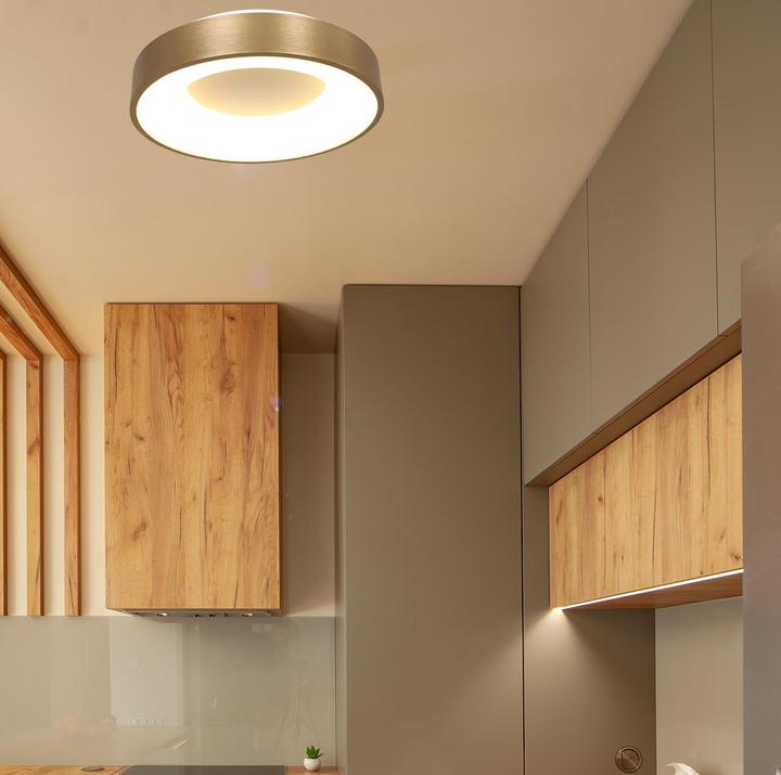 Image du produit Steinhauer Ringlede (28 lm)