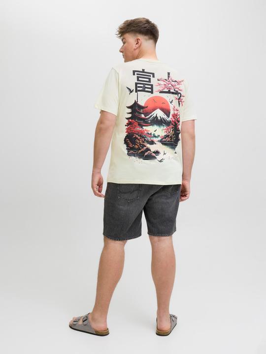 Immagine prodotto Jack & Jones Plus Size T-shirt T-shirt (4XL)