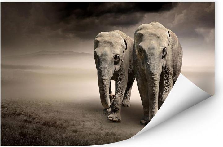 Image du produit Trenddeko Les éléphants (120 x 80 cm)