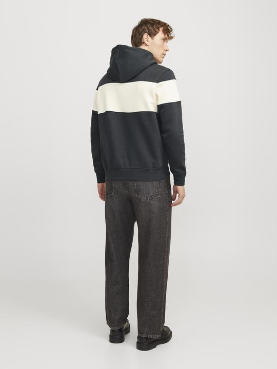 Actual product image Jack & Jones Jorvesterbro Block Sweat Hood Styd Aw24 (S)