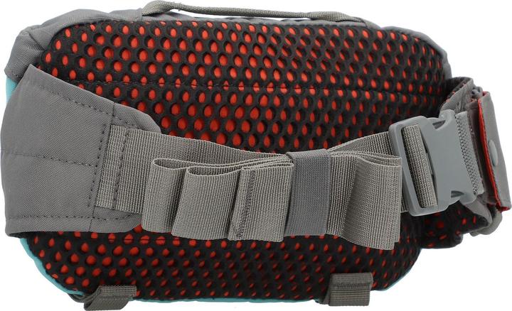 Immagine prodotto Dakine Girasole Calde 1l