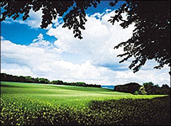 Produktbild Cokin X121L Verlauffilter grau 2 (ND2) (ND- / Graufilter)