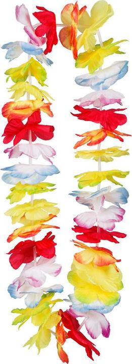 Image du produit Boland Collier hawaïen Rainbow