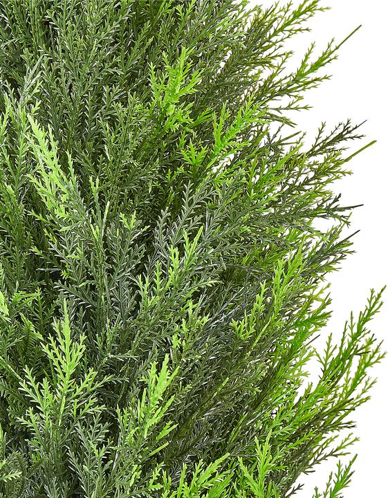 Immagine prodotto Beliani Cedar Tree (120 cm)