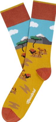 Immagine prodotto Moustard Wild Box (Confezione singola, 41 - 46)