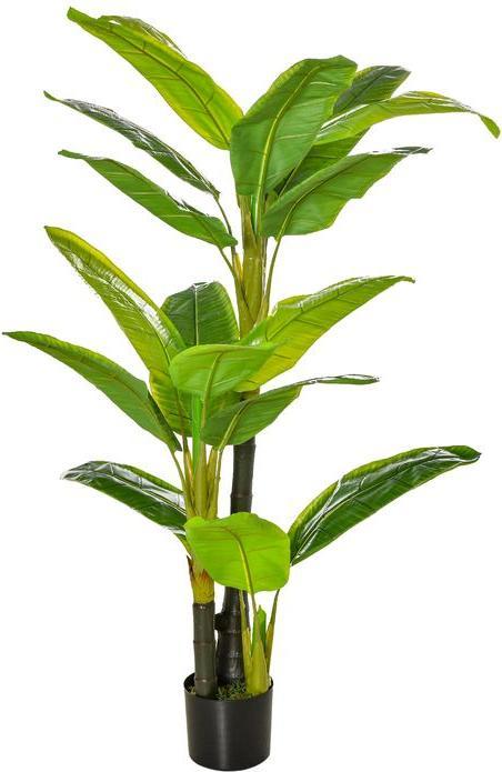 cactus plan Assorted Cactaceae Cactus Tray, 15 Pack – Interior Foliage Design