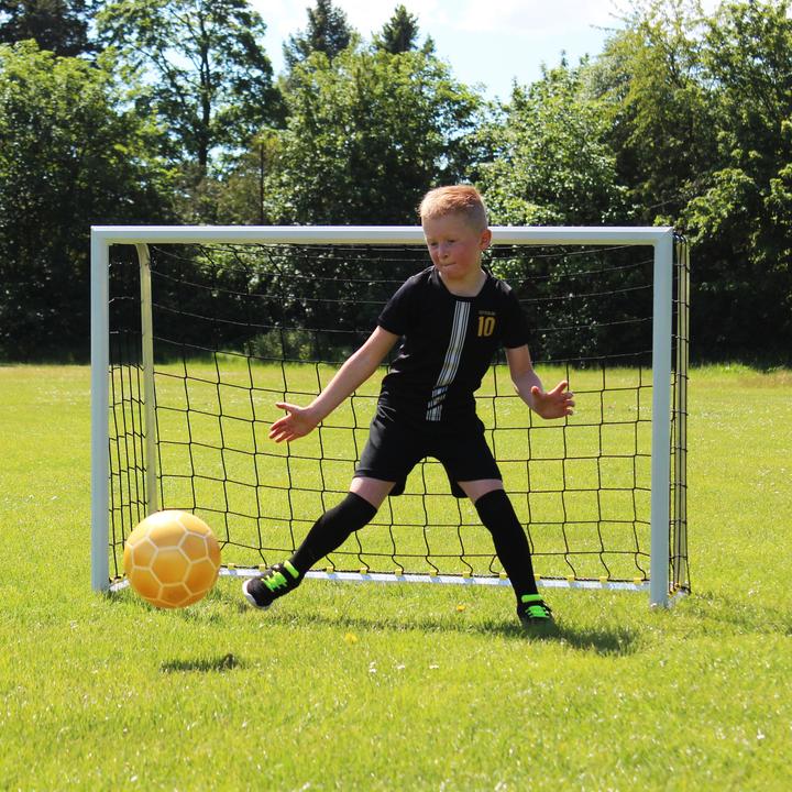 Actual product image Sport-Thieme Mini training goal with folding net hoops