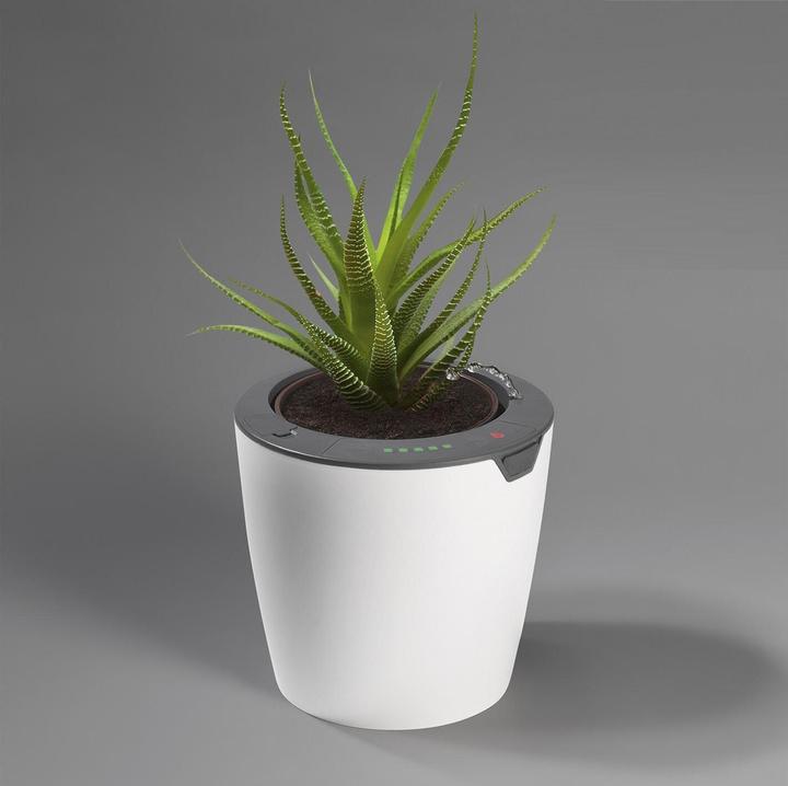 Produktbild Die Höhle der Löwen LazyLeaf