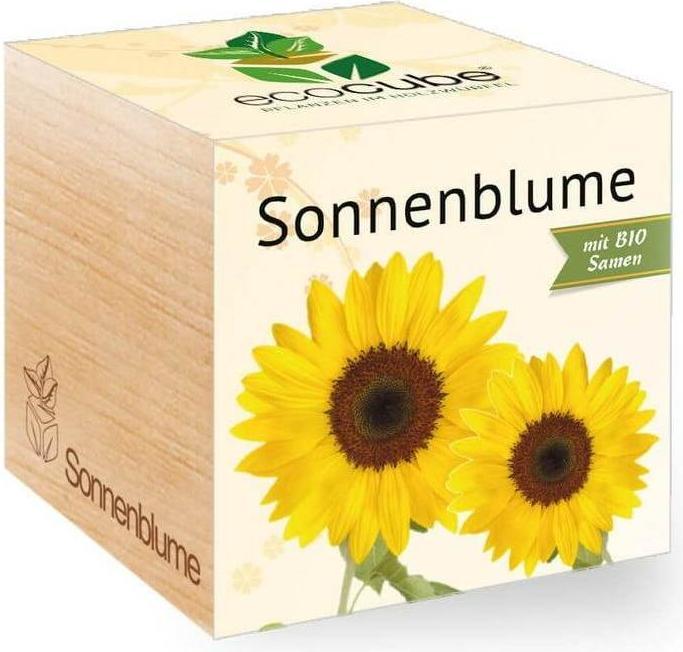 Feel Green Ecocube (Blumensamen)