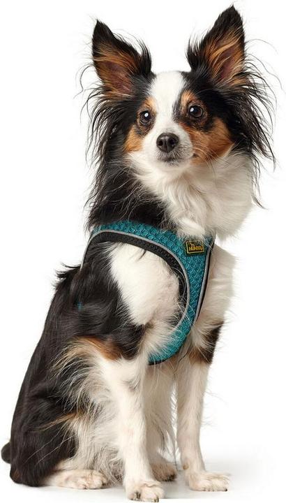Image du produit Hunter Harnais pour chien Hilo Comfort (M, Chien, Général)