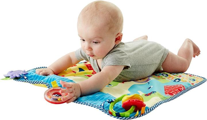 Image du produit Fisher-Price Plafond de jeu Petits amis des animaux