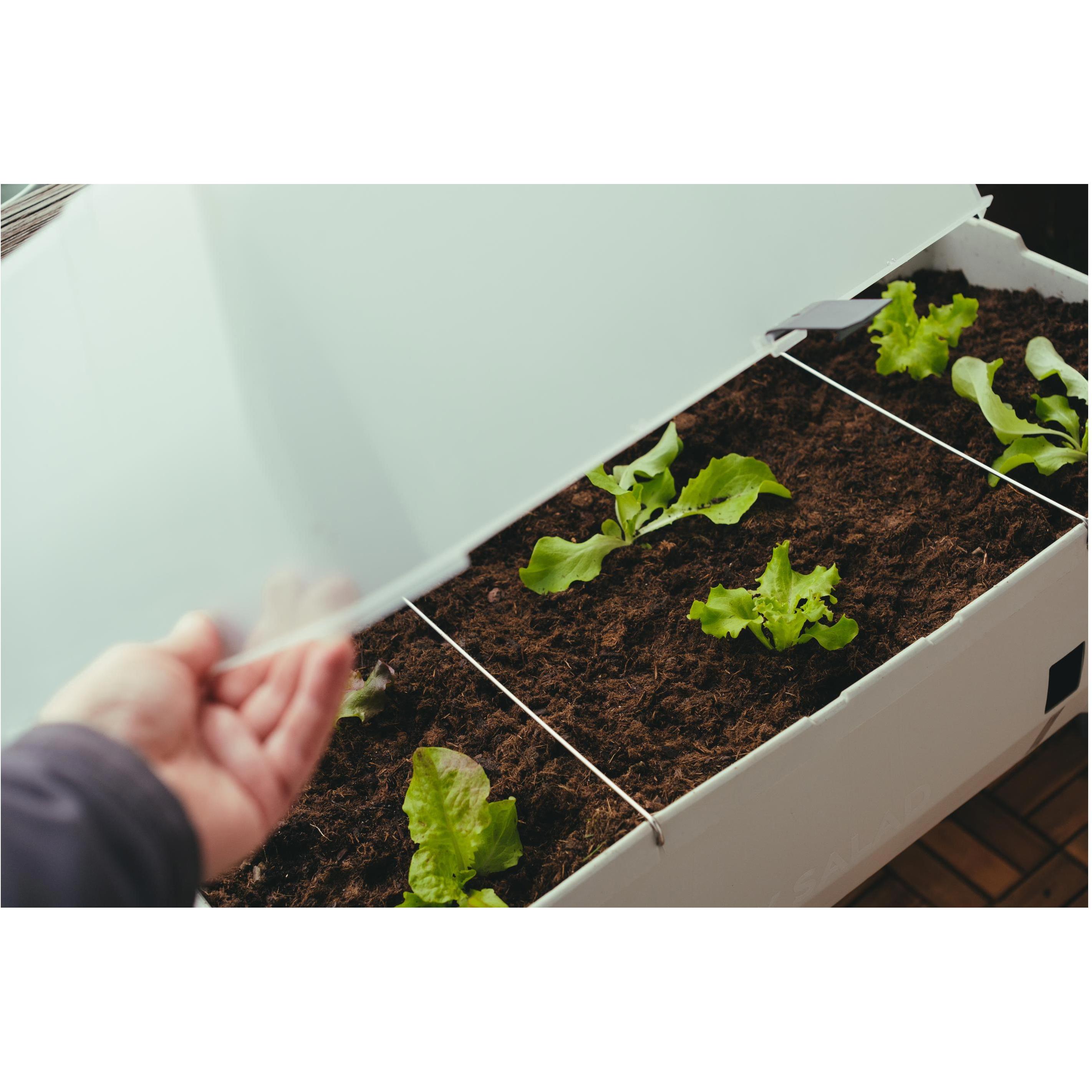 Thumbnail - Gusta Garden, Hochbeet, Sammy Salad