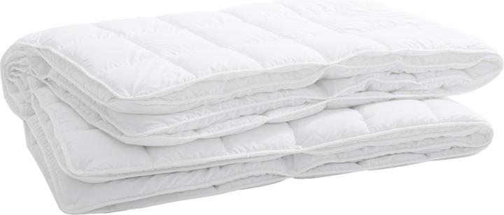 Produktbild Billerbeck Clivia 4-Saisons (1740 g, 160 x 210 cm)