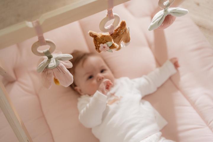 Image du produit Little Dutch Baby Gym Fairy Garden (LD9010)