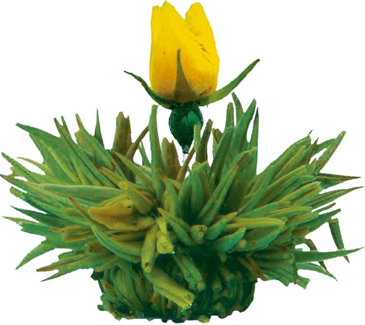 Image du produit Creano Erblühtee (0.50 l)