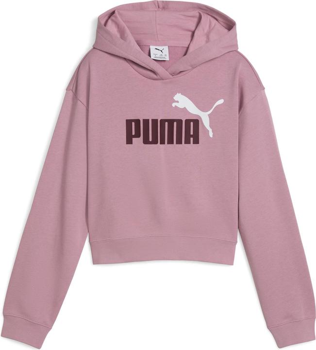 Puma ESS 2 COLOR No. 1 Logo​ Short Length Hoodie TR G