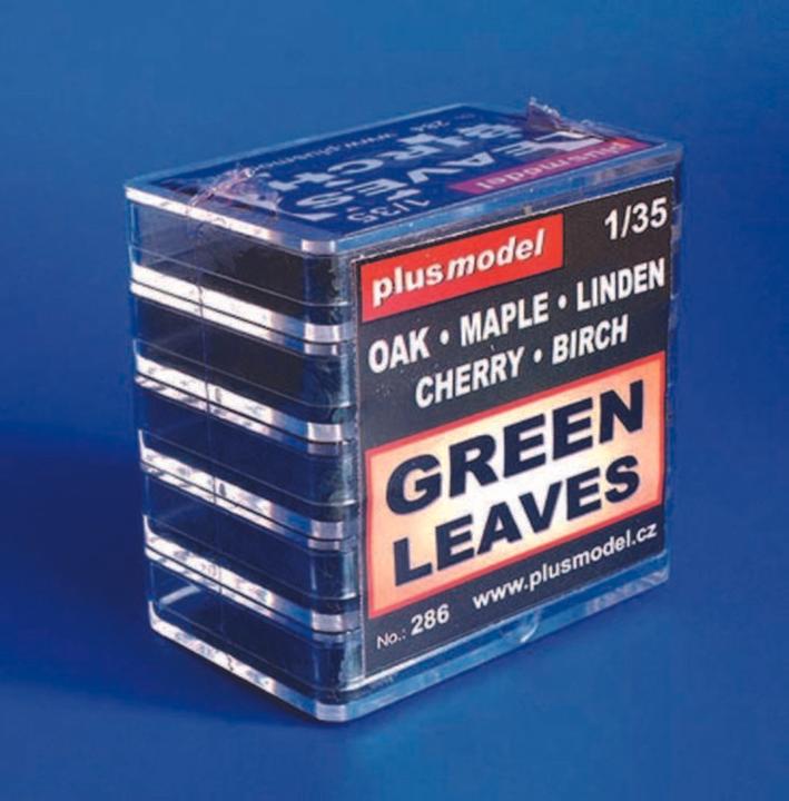 Actual product image Plus Model green leaves
