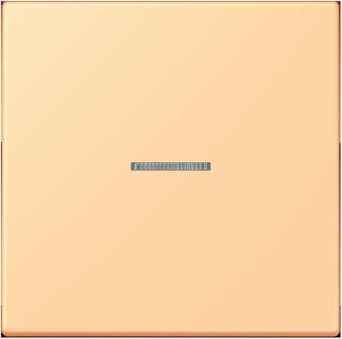 Produktbild JUNG Wippe 1fach m. Lichtleiter