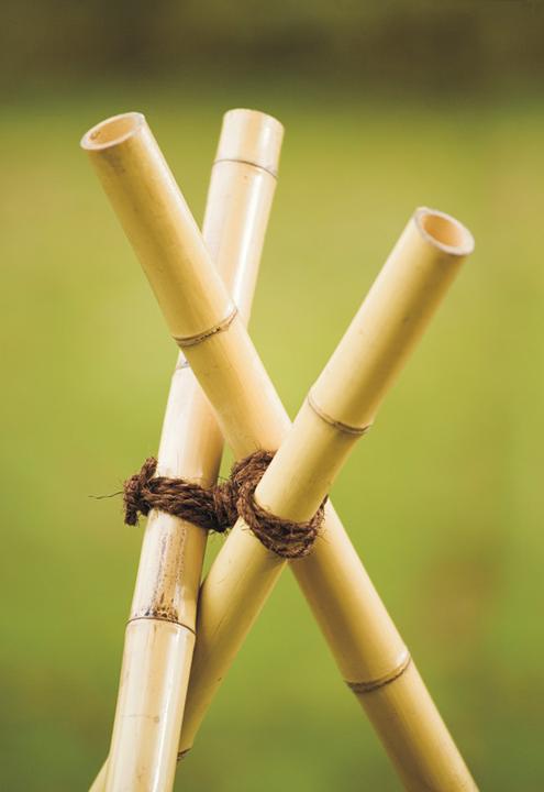 Produktbild Windhager Kokos-Baumanbinder