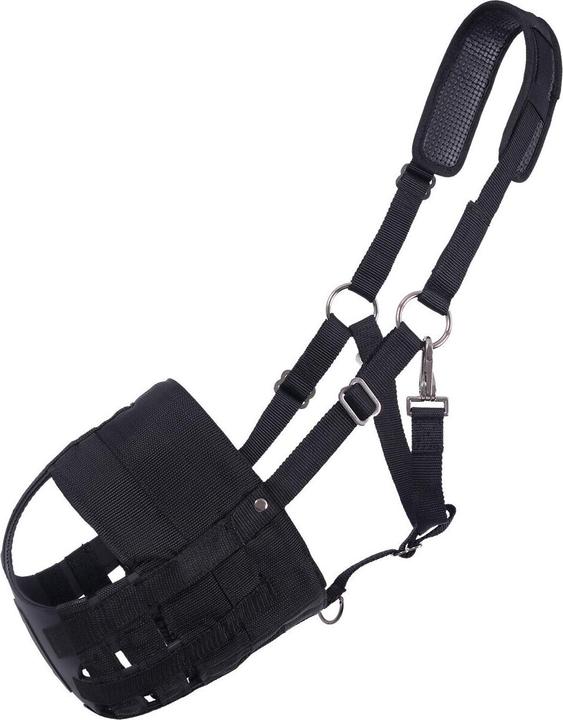 Immagine prodotto Qhp capezza con museruola