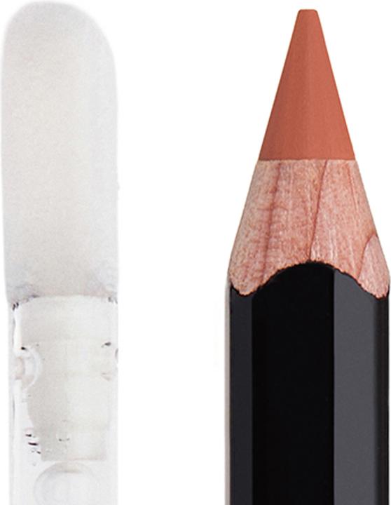 Actual product image Anastasia Beverly Hills Pout Master Lip Duo (Warm taupe)