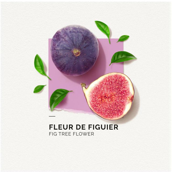 Image du produit Solinotes Figuier Eau de Parfum Figuier (Eau de parfum, 50 ml)