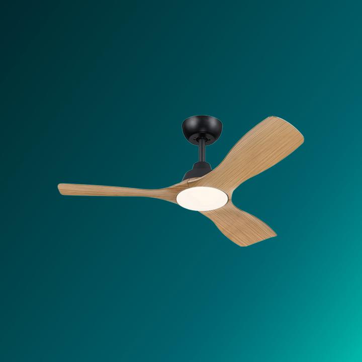 Immagine prodotto Philips Olas