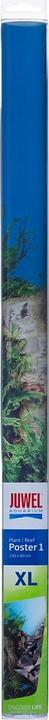 Immagine prodotto Juwel Aquarium Foto copertina posteriore 1 stampata su entrambi i lati (Pannello posteriore, altre voci)