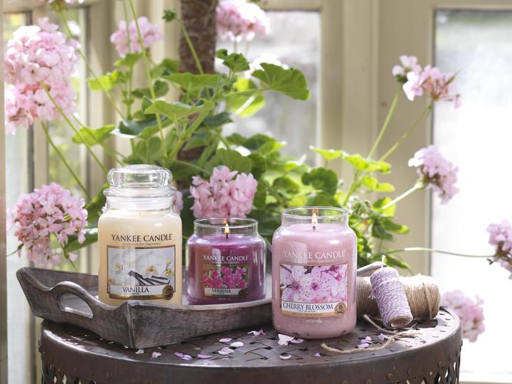 Actual product image Yankee Candle Vanilla (623 g)