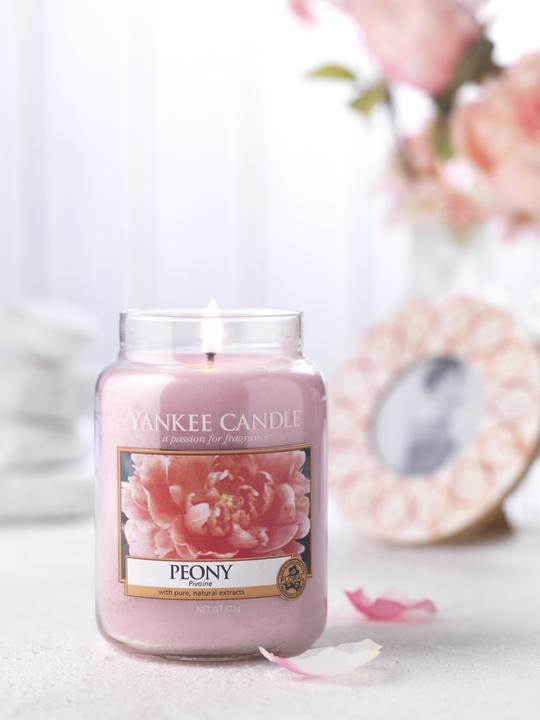 Image du produit Yankee Candle Grande jarre (623 g)