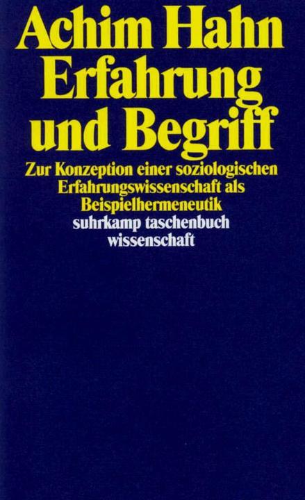 Produktbild Erfahrung und Begriff (Deutsch, Achim Hahn, 1994)