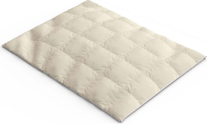 Image du produit Erzstef Housse de coussin (Taie d'oreiller, 30 x 40 cm)