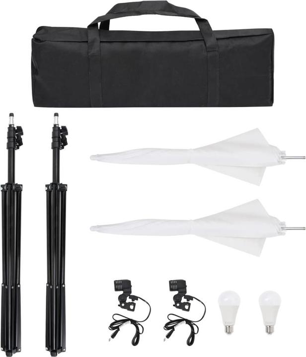 Image du produit vidaXL Fotostudio-Kit (600 cm, 210 cm)