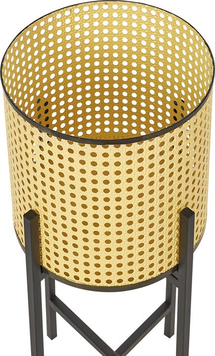 Produktbild Beliani Cotinus (25 x 60 cm)