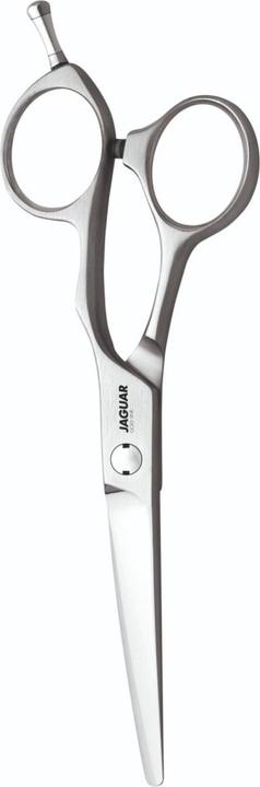 Immagine prodotto Jaguar Xenox Titan (15.24 cm)