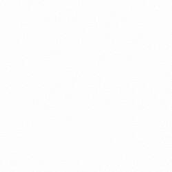 Thumbnail - AllParts AP PG 0095-025 PG roh 1-l. weiss (Instrumenten Ersatzteile), Zubehör Instrumente, Weiss