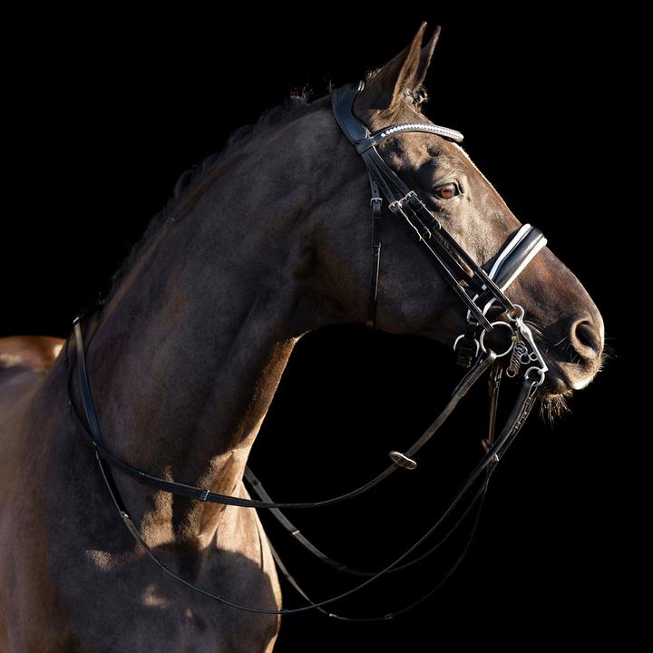 Image du produit HV Polo Legacy deluxe