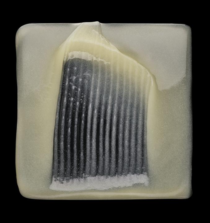 Actual product image L'Oréal Professionnel Serie Expert Absolut Repair (300 ml, Liquid shampoo)