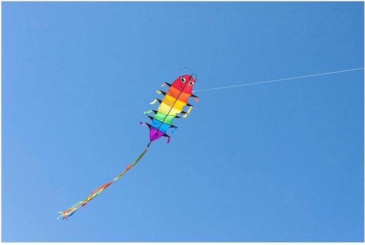 Immagine prodotto Invento Flapping Willie Worm