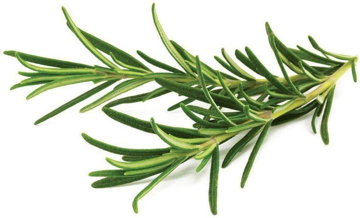 Click and Grow Rosemary (Herb seeds)