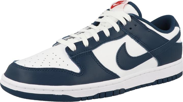 Image du produit Nike Dunk Low Retro - 63319 (48.5)