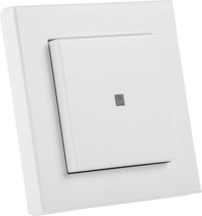 Actual product image HomeMatic Hm-Pb-2-Wm55-2