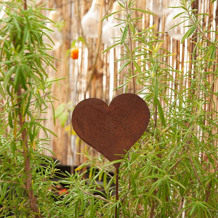 Image du produit Natura Punto Coeur de jardin