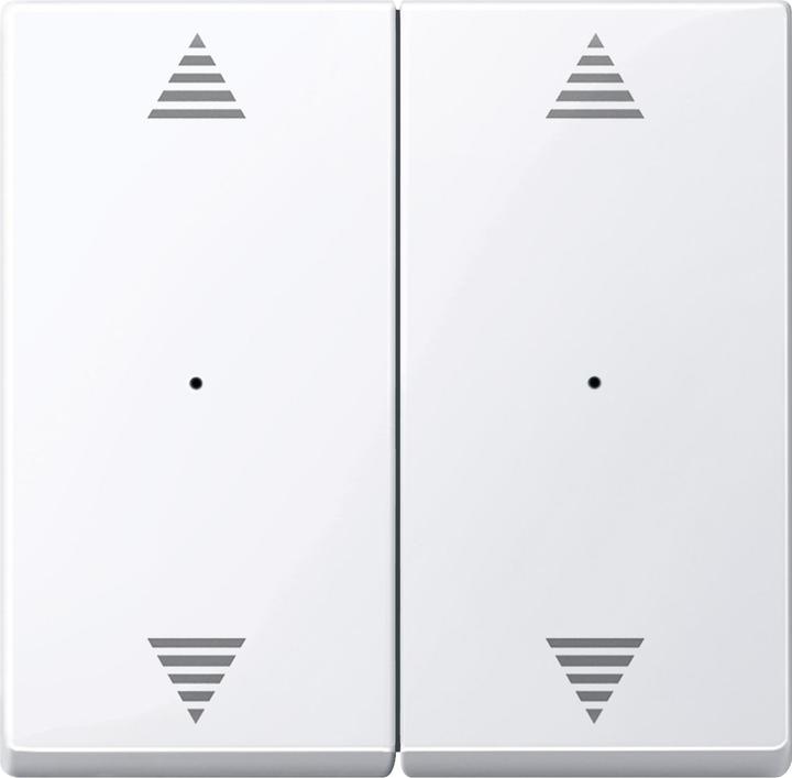 Actual product image Merten Rockers for push-button module 2gang with 619725