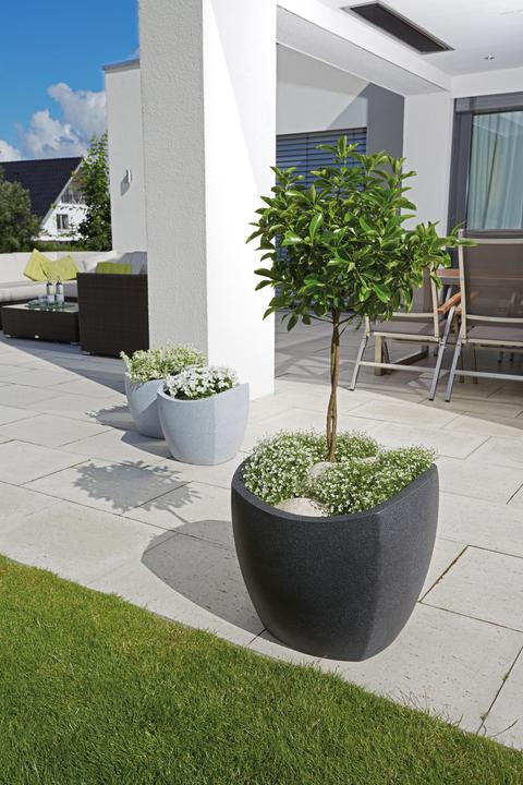 Produktbild Scheurich Wave Globe Cubo (39 cm)