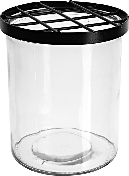 Produktbild VBS Glasvase mit Steckgitter