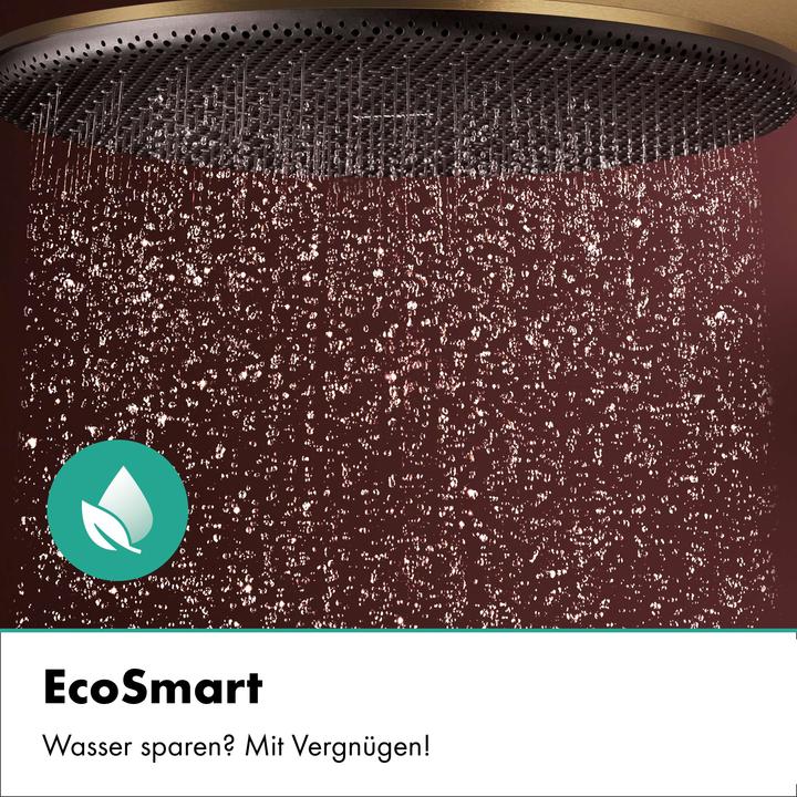 Actual product image hansgrohe Raindance Alive S PURO système de douche 300 1jet EcoSmart avec élément Ecostat, 24593140, 24593140