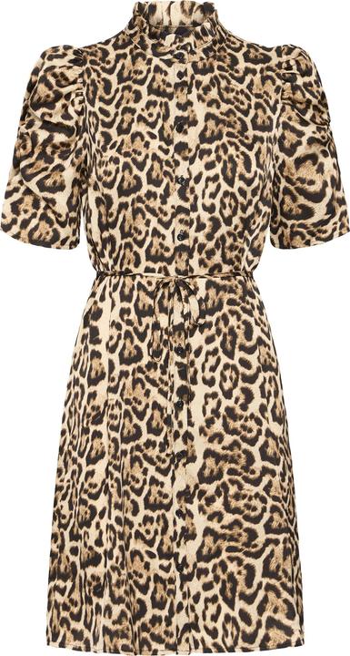 Braun, Leopard
