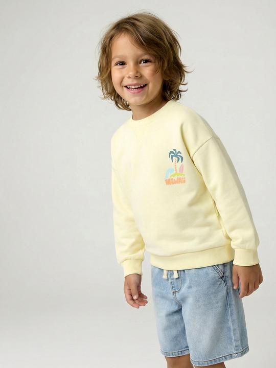 Produktbild Vertbaudet Jungen Sweatshirt mit Sommer-Motiv (140)